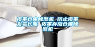皮革仓库除湿机 防止皮革发霉长毛 皮革存放仓库除湿机