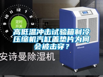 常见问题高低温冲击试验箱制冷压缩机汽缸盖垫片为何会被击穿？