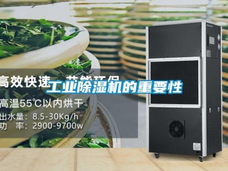 企业新闻工业除湿机的重要性