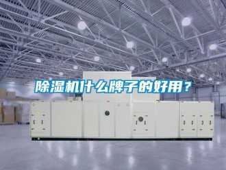 行业新闻除湿机什么牌子的好用？