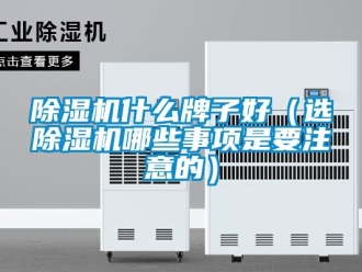 行业新闻除湿机什么牌子好（选除湿机哪些事项是要注意的）