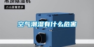 空气潮湿有什么危害