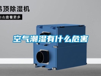 行业新闻空气潮湿有什么危害