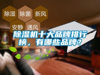 企业新闻除湿机十大品牌排行榜，有哪些品牌？
