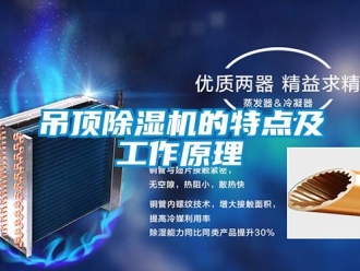 行业新闻吊顶除湿机的特点及工作原理