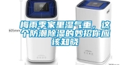 梅雨季家里湿气重，这个防潮除湿的妙招你应该知晓