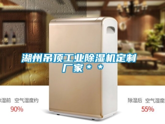 企业新闻湖州吊顶工业除湿机定制 厂家＊＊