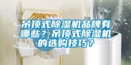 吊顶式除湿机品牌有哪些？吊顶式除湿机的选购技巧？
