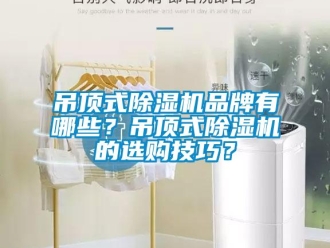 企业新闻吊顶式除湿机品牌有哪些？吊顶式除湿机的选购技巧？