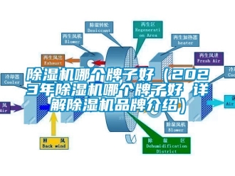企业新闻除湿机哪个牌子好（2023年除湿机哪个牌子好 详解除湿机品牌介绍）