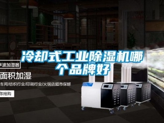 常见问题冷却式工业除湿机哪个品牌好