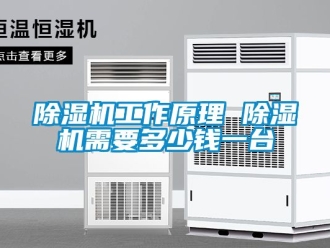 行业新闻除湿机工作原理 除湿机需要多少钱一台