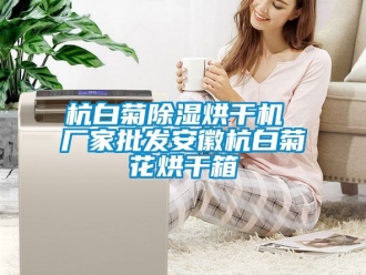 企业新闻杭白菊除湿烘干机 厂家批发安徽杭白菊花烘干箱