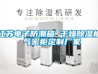 常见问题江苏电子防潮箱 干燥除湿柜 气密柜定制厂家