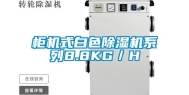 柜机式白色除湿机系列8.8KG／H