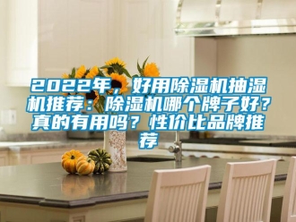 企业新闻2022年，好用除湿机抽湿机推荐：除湿机哪个牌子好？真的有用吗？性价比品牌推荐