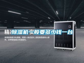 行业新闻除湿机一般要多少钱一台