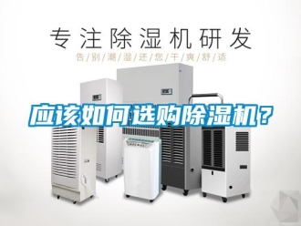 常见问题应该如何选购除湿机？