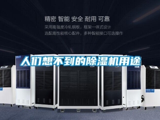 行业新闻人们想不到的除湿机用途