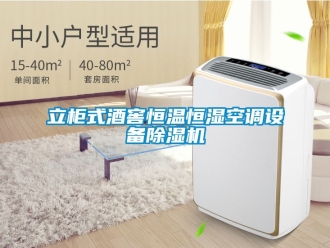 知识百科立柜式酒窖恒温恒湿空调设备除湿机