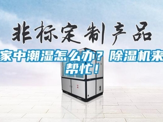 常见问题家中潮湿怎么办？除湿机来帮忙！