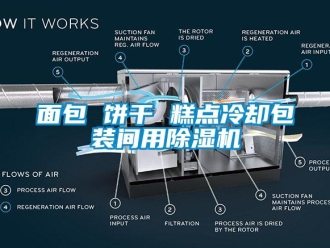 行业新闻面包 饼干 糕点冷却包装间用除湿机