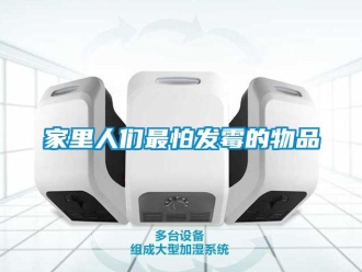 行业新闻家里人们最怕发霉的物品