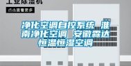 净化空调自控系统 淮南净化空调 安徽霖达恒温恒湿空调