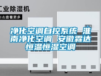 知识百科净化空调自控系统 淮南净化空调 安徽霖达恒温恒湿空调