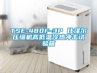常见问题TSE-480F-3P 比泽尔压缩机高低温冷热冲击试验箱