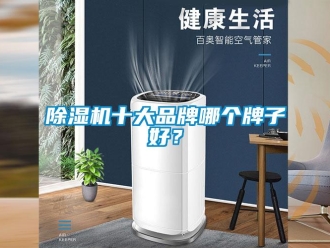 企业新闻除湿机十大品牌哪个牌子好？