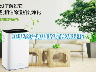 企业新闻工业除湿机维护保养小技巧