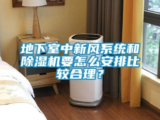 常见问题地下室中新风系统和除湿机要怎么安排比较合理？
