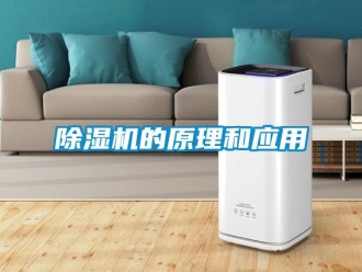 常见问题除湿机的原理和应用