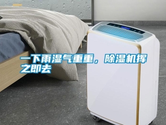 知识百科一下雨湿气重重，除湿机挥之即去