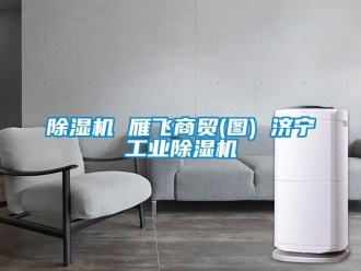 常见问题除湿机 雁飞商贸(图) 济宁工业除湿机