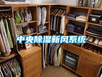行业新闻中央除湿新风系统