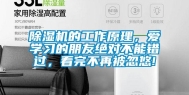 除湿机的工作原理，爱学习的朋友绝对不能错过，看完不再被忽悠!