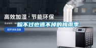 躲不过也逃不掉的梅雨季