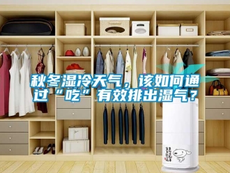 常见问题秋冬湿冷天气，该如何通过“吃”有效排出湿气？