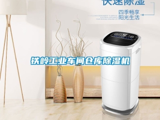 常见问题铁岭工业车间仓库除湿机