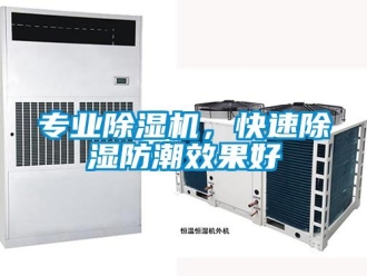 行业新闻专业除湿机，快速除湿防潮效果好