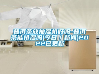 企业新闻普洱茶放抽湿机好吗-普洱茶能排湿吗(今日／新闻)2022已更新