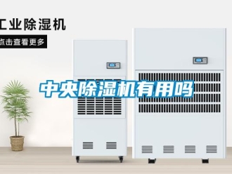 常见问题中央除湿机有用吗