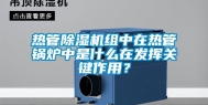 热管除湿机组中在热管锅炉中是什么在发挥关键作用？