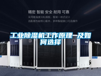 常见问题工业除湿机工作原理 及如何选择