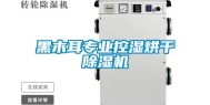 黑木耳专业控湿烘干除湿机