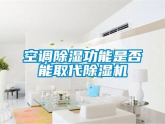 行业新闻空调除湿功能是否能取代除湿机