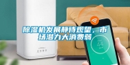 除湿机发展静待观望，市场潜力大消费弱
