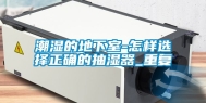 潮湿的地下室-怎样选择正确的抽湿器_重复